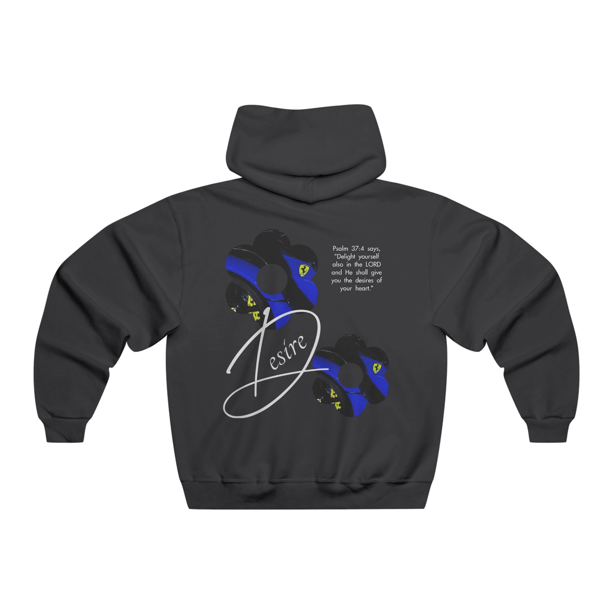 Desire Psalm - Hoodie