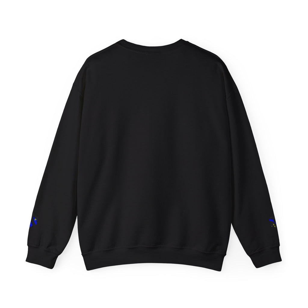 DESIRE RARI - CREW SWEATER